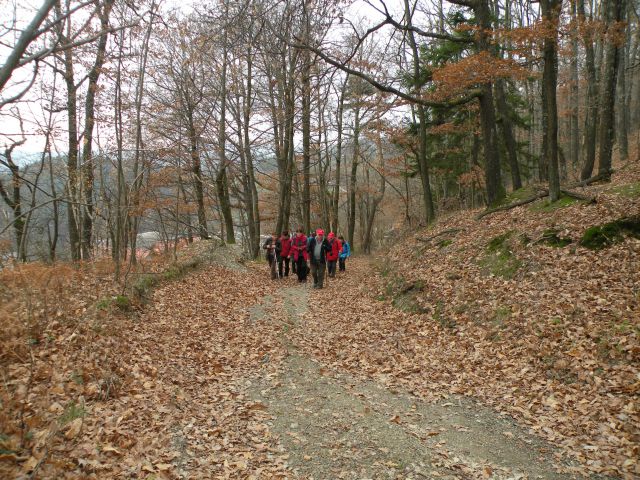 11.12.13 Krakovo, Zdole, Podgorica - foto