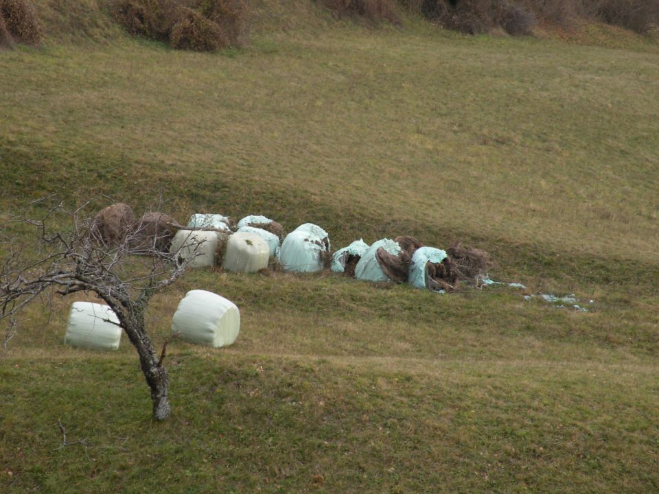 11.12.13 Krakovo, Zdole, Podgorica - foto povečava