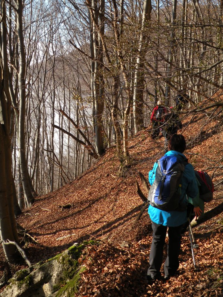 18.12.13 Lisca, Ješivec - foto povečava