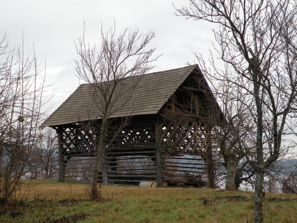 21.1.14 Orle - foto povečava