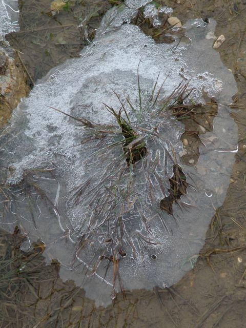 4.2.14 Sevnica sprehajalna obalna pot - foto