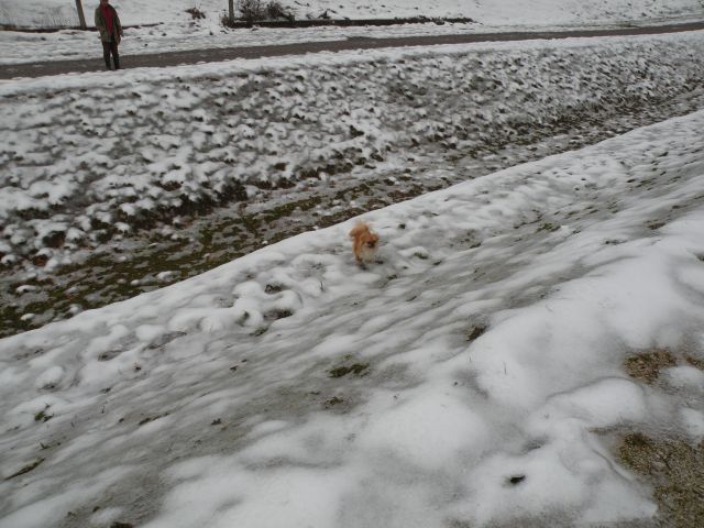 4.2.14 Sevnica sprehajalna obalna pot - foto