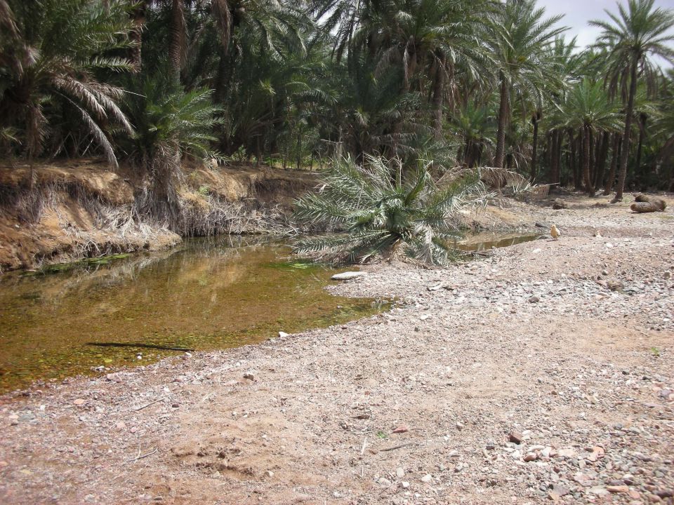 27.2.14 Sokotra jezero na planoti - foto povečava