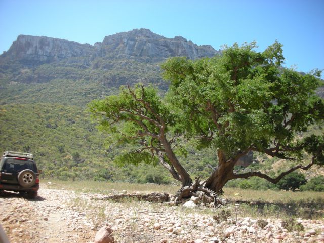 25.2.14 Sokotra pohod čez prelaz Ajhat - foto