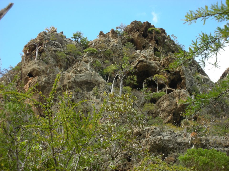 25.2.14 Sokotra pohod čez prelaz Ajhat - foto povečava