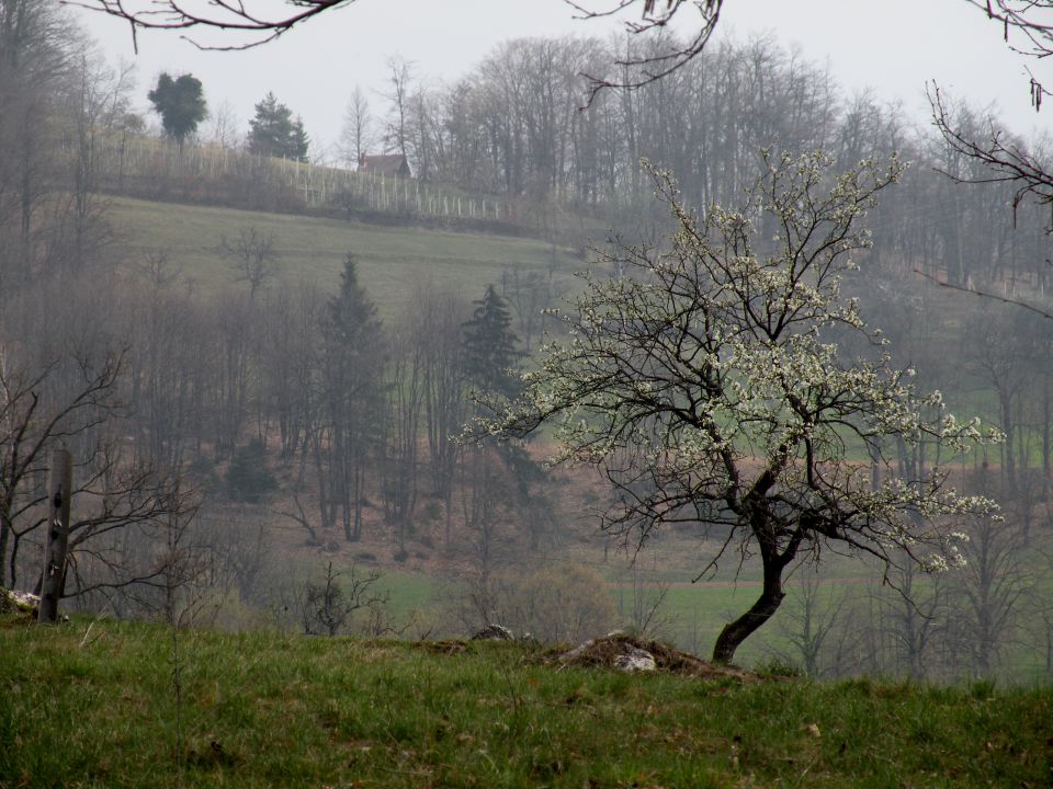 19.3.14 Češnjice, slap Jesenk - foto povečava