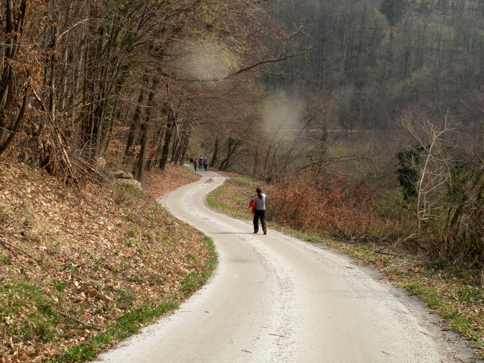 19.3.14 Češnjice, slap Jesenk - foto povečava