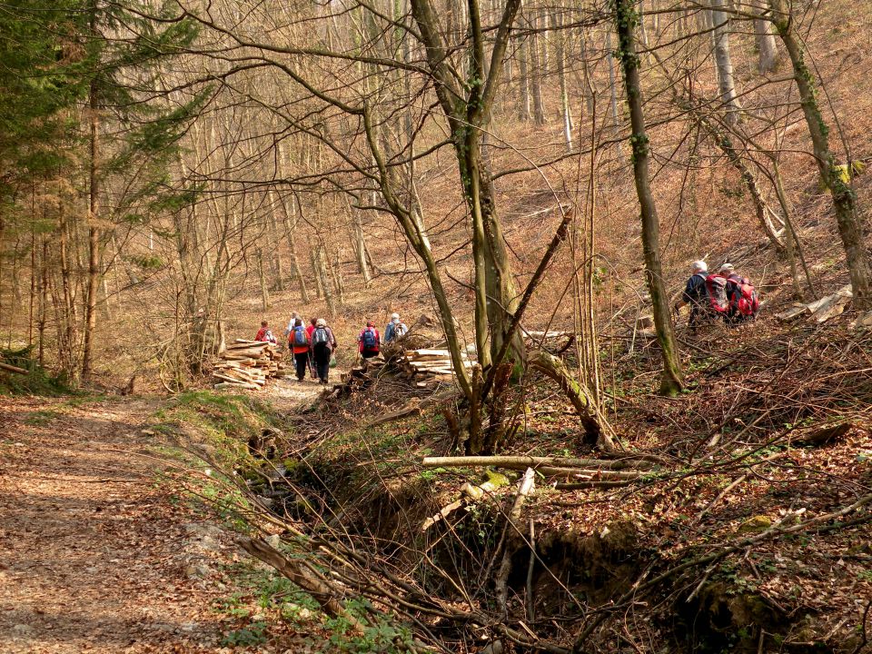 19.3.14 Češnjice, slap Jesenk - foto povečava