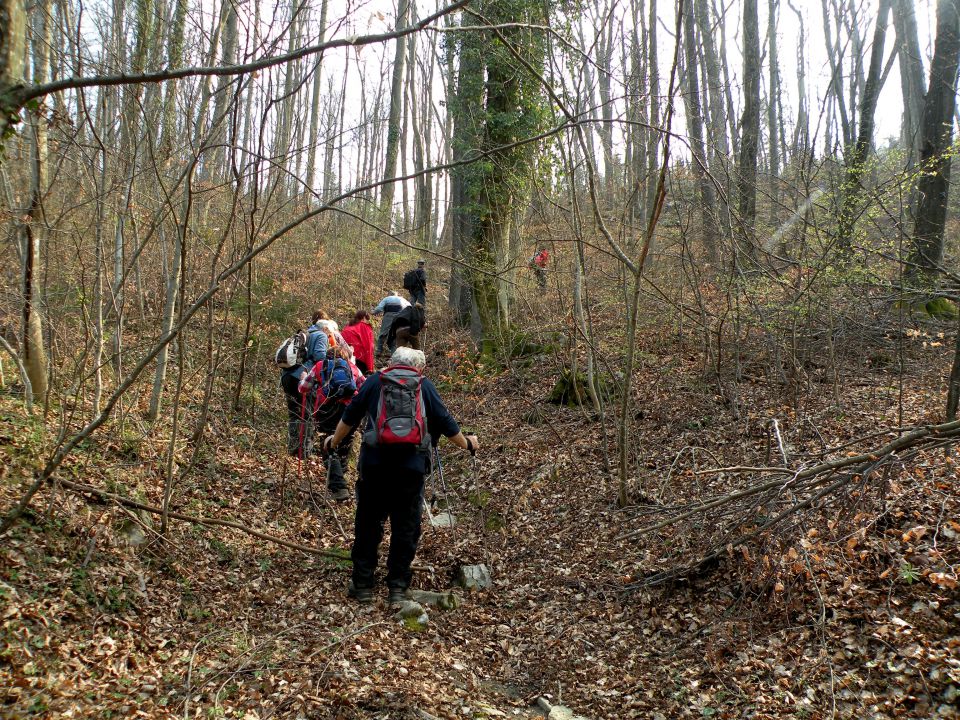 19.3.14 Češnjice, slap Jesenk - foto povečava