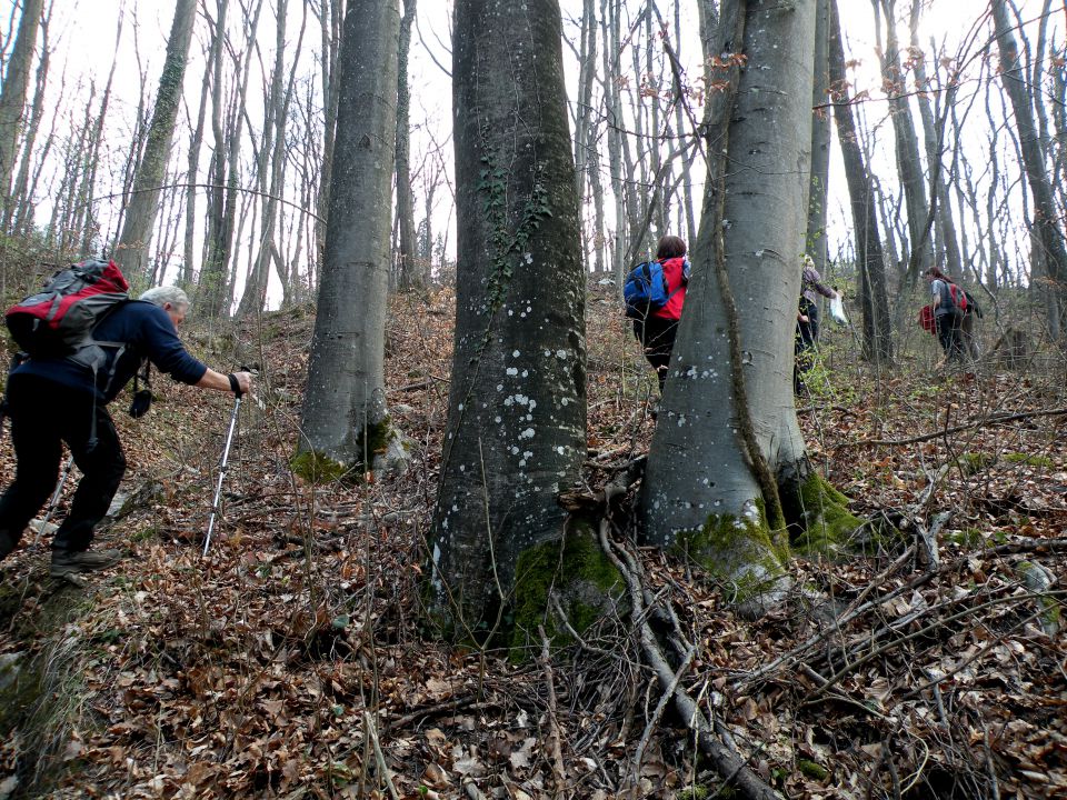 19.3.14 Češnjice, slap Jesenk - foto povečava