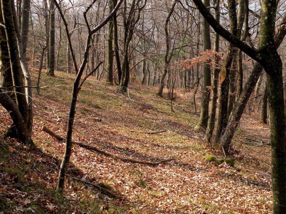 19.3.14 Češnjice, slap Jesenk - foto povečava