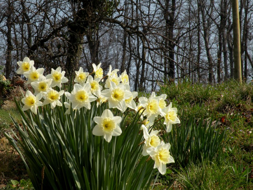 19.3.14 Češnjice, slap Jesenk - foto povečava