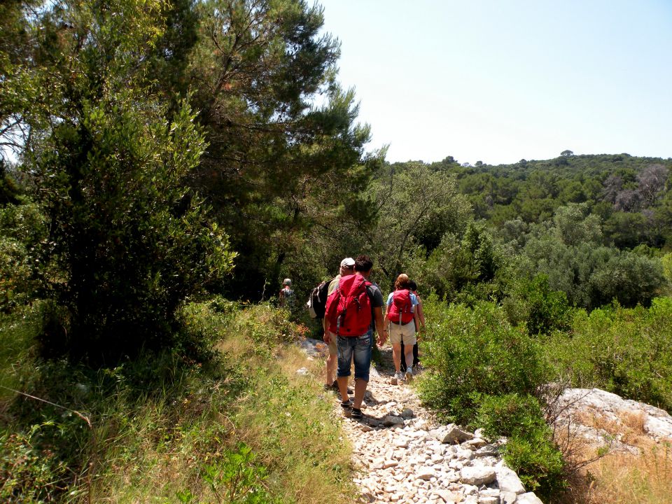 14 Mljet - nacionalni park - foto povečava