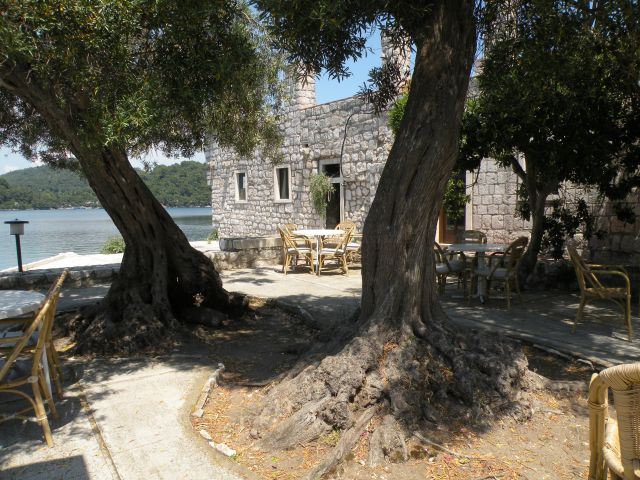 14 Mljet - nacionalni park - foto