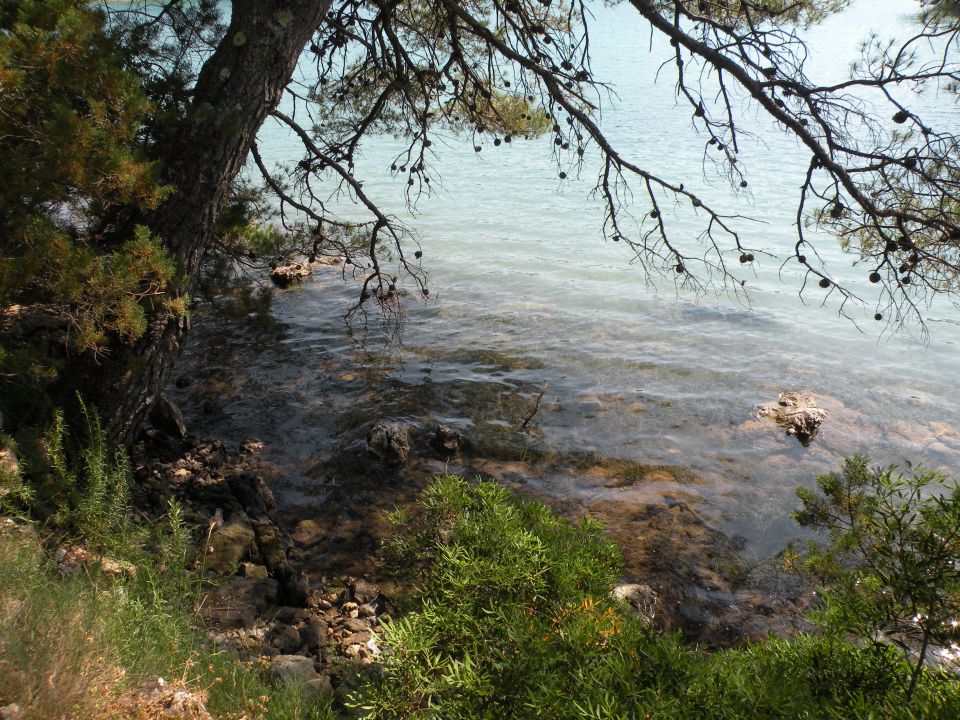 14 Mljet - nacionalni park - foto povečava