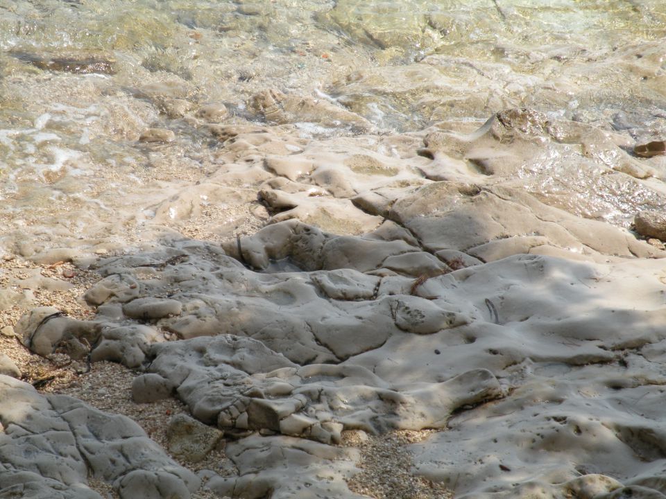 15.6.14 Mljet - okrog hotela na Pelješcu - foto povečava