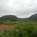15.6.14 Mljet - Vinarija Frano Miloš Ponikve