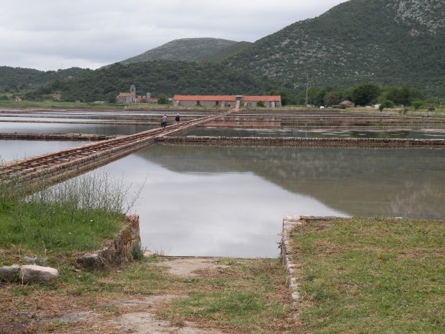 15.6.14 Mljet - Ston - foto