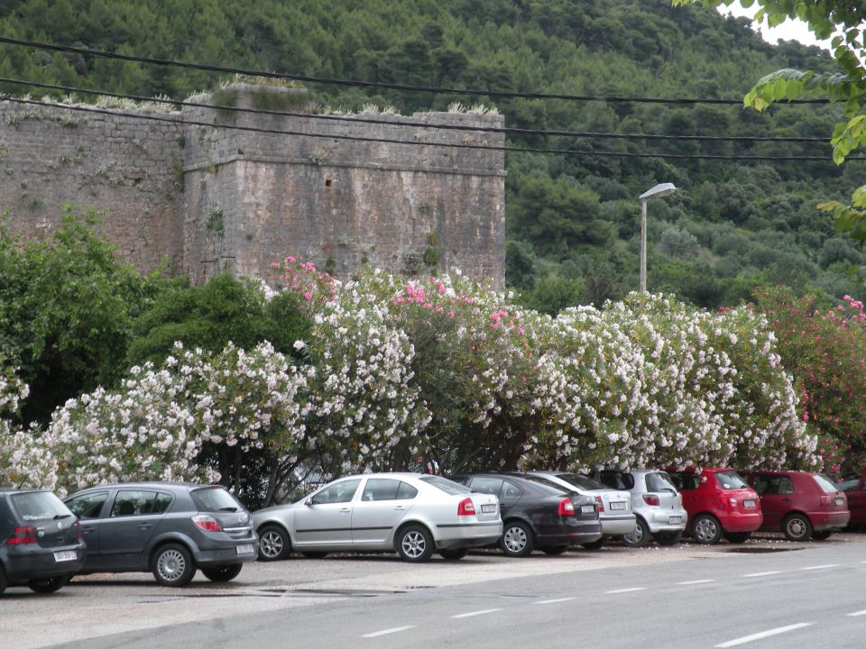 15.6.14 Mljet - Ston - foto povečava