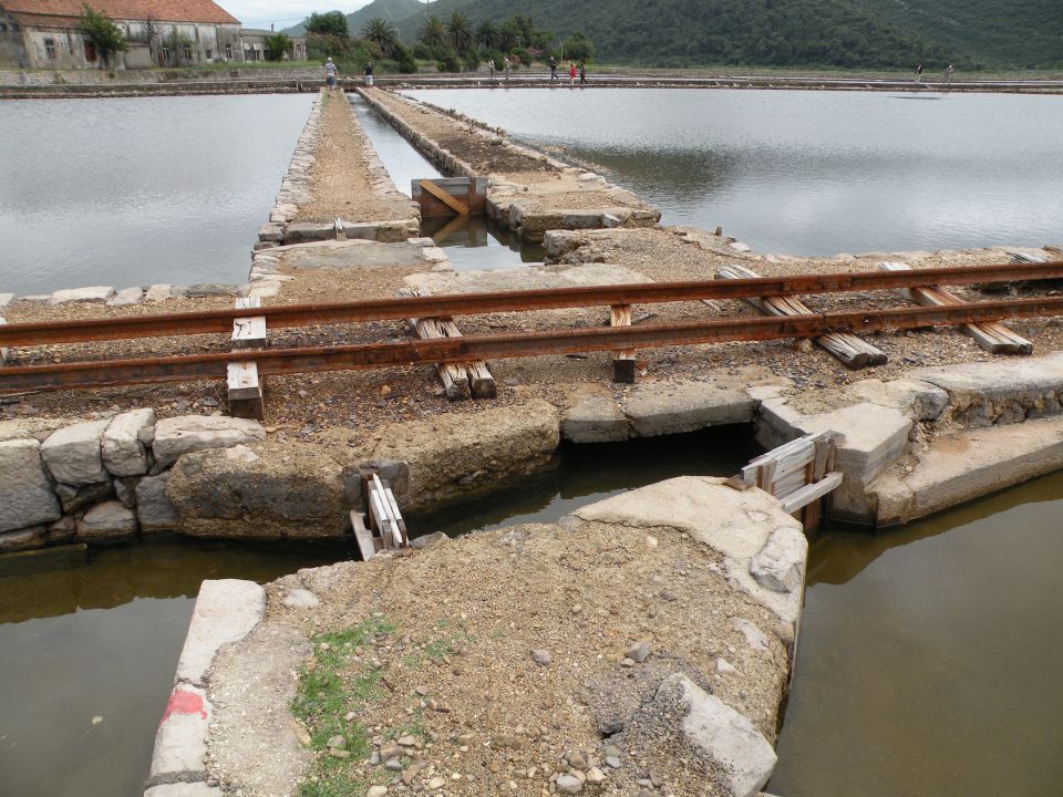 15.6.14 Mljet - Ston - foto povečava