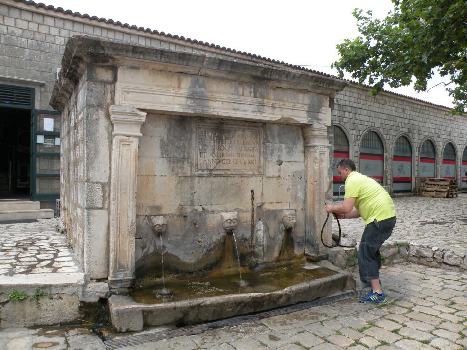 15.6.14 Mljet - Ston - foto povečava