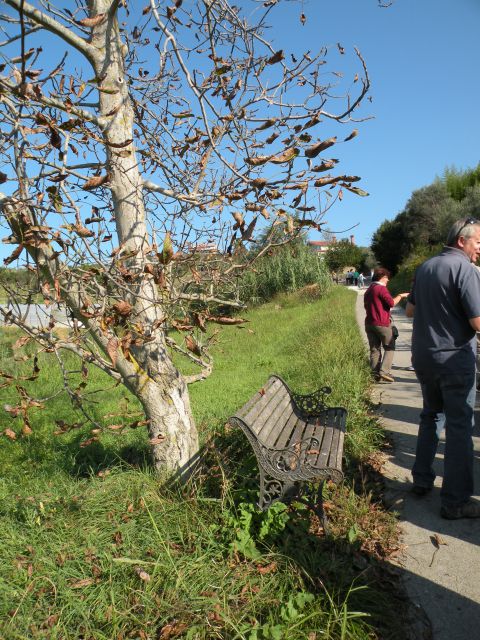 4.10.14 Piran, kmet. Knez - foto