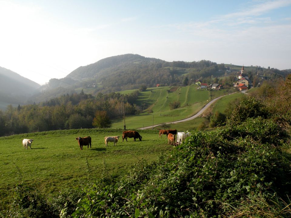 29.10.14 Pokojnik in Mrzla planina - foto povečava