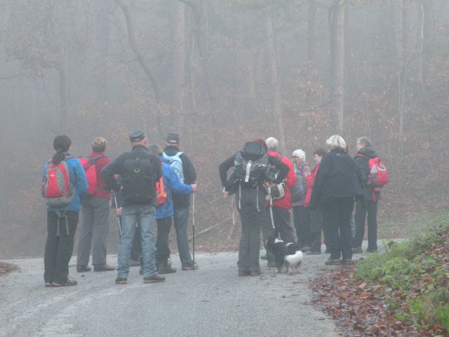 19.11.14 Ledina, Zletiče - foto