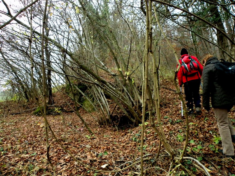 26.11.14 Prešna loka - foto povečava