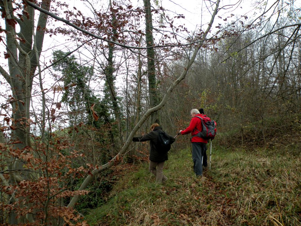 26.11.14 Prešna loka - foto povečava