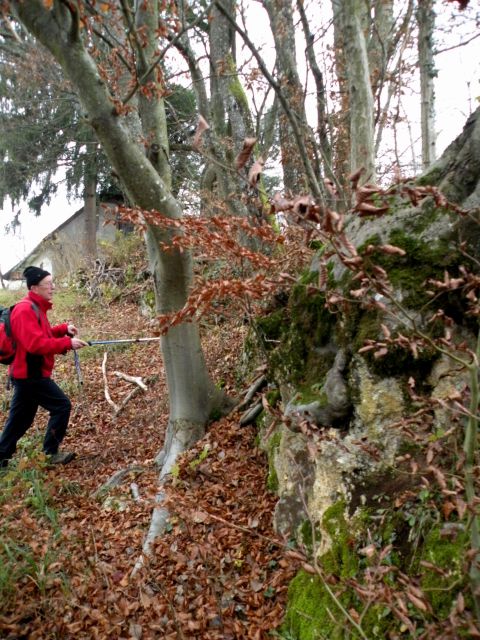 26.11.14 Prešna loka - foto