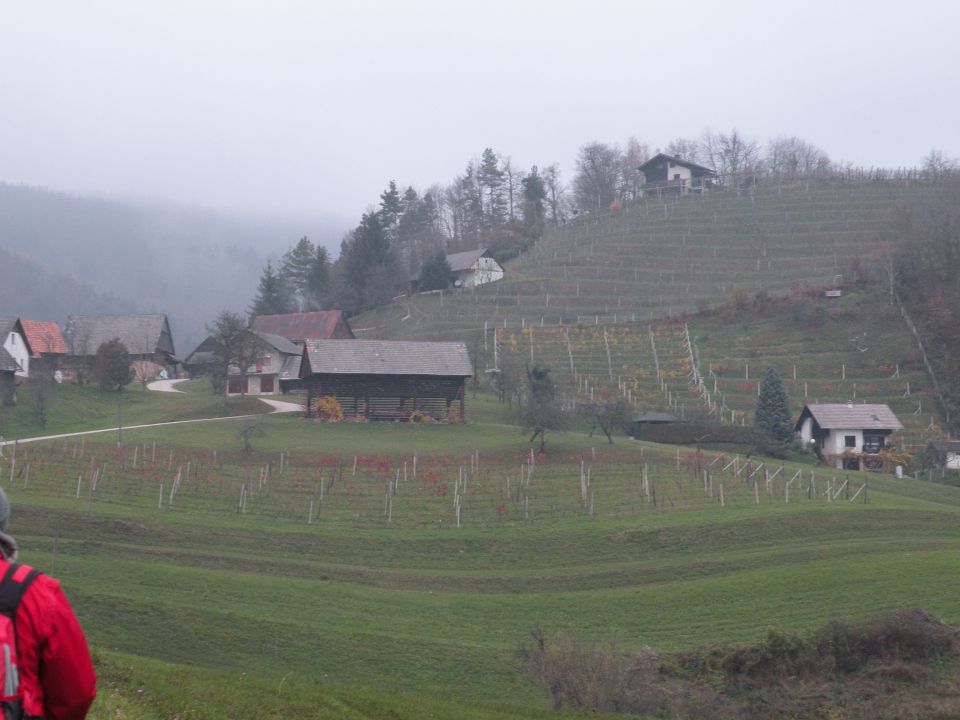 26.11.14 Prešna loka - foto povečava