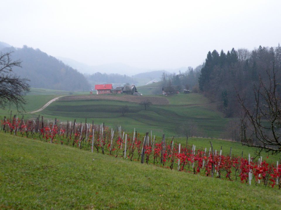 26.11.14 Prešna loka - foto povečava