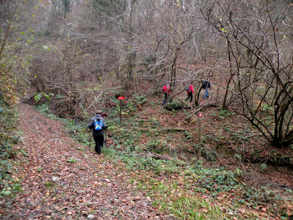 26.11.14 Prešna loka - foto povečava