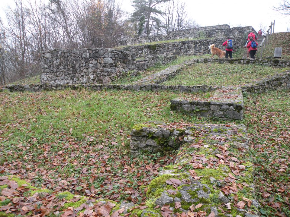 26.11.14 Prešna loka - foto povečava