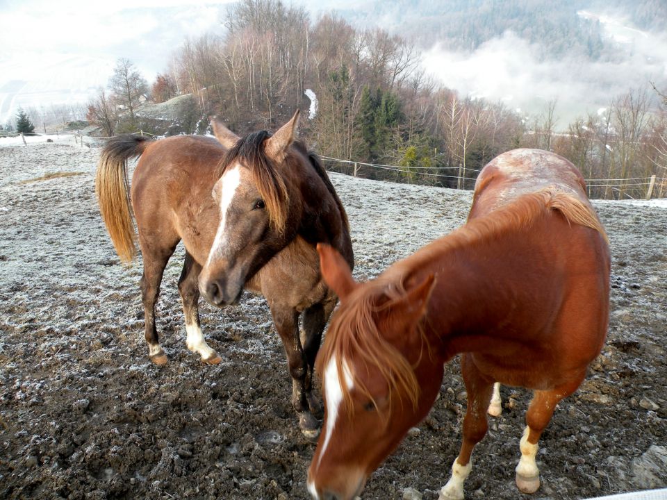 7.1.15 Črete, Zletiče - foto povečava