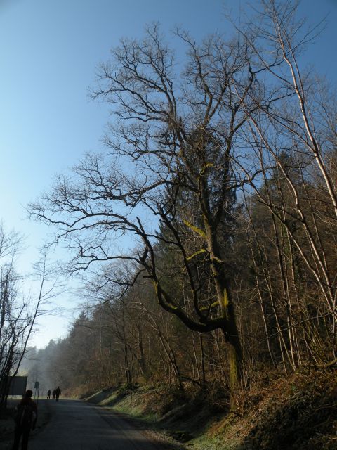 27.1.15 Ruda - foto