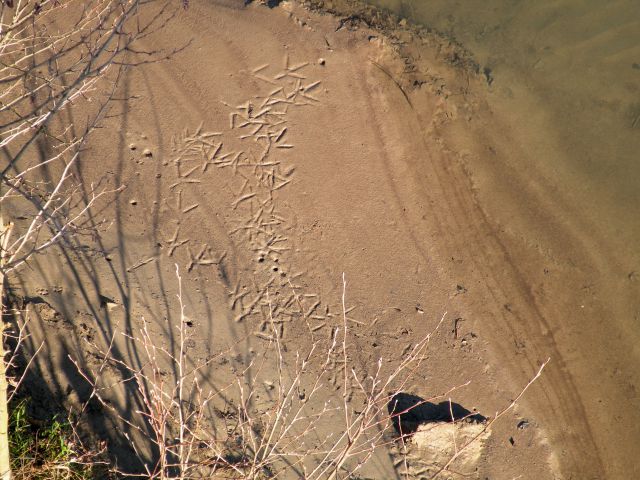 27.1.15 Ruda - foto