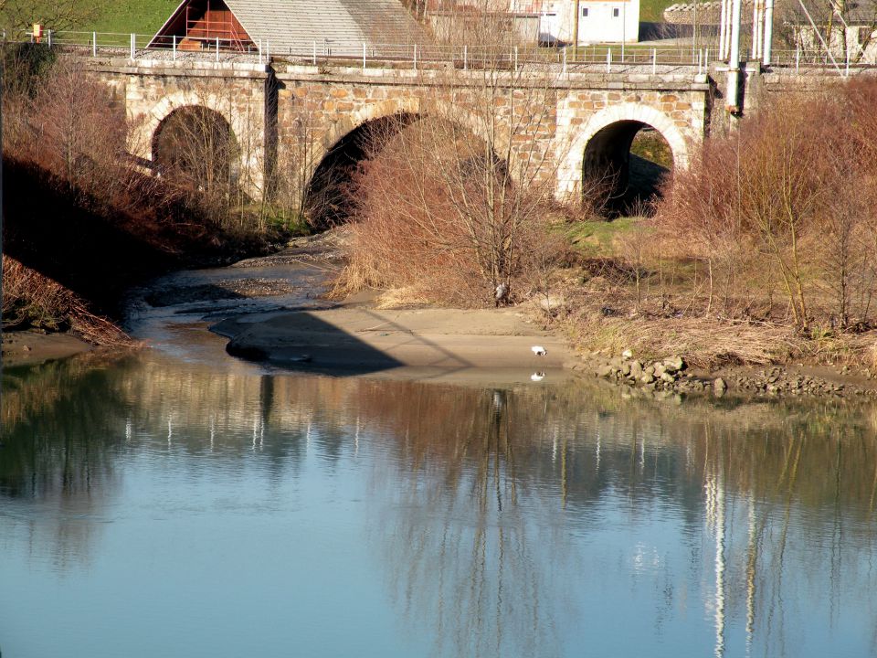 27.1.15 Ruda - foto povečava