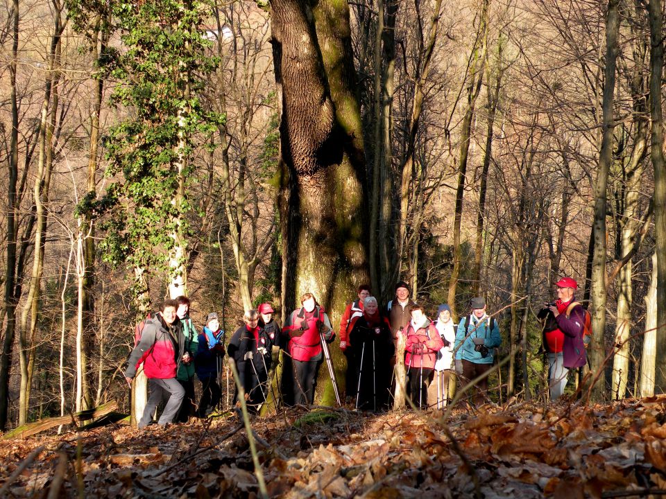 27.1.15 Ruda - foto povečava