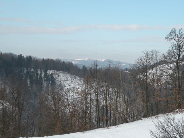 11.2.15 Drožanje in Janko - foto