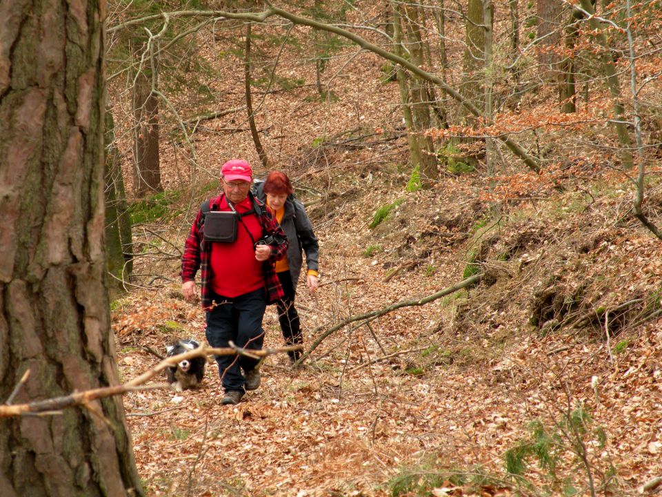 4.3.15 Krakovo Vočivje - foto povečava