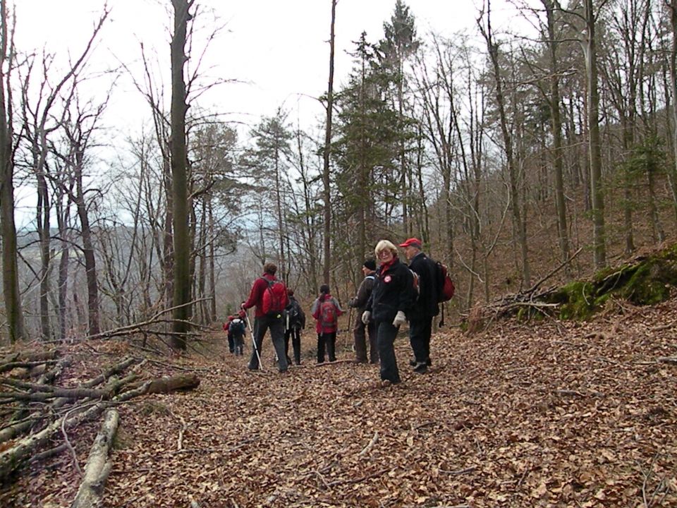 4.3.15 Krakovo Vočivje - foto povečava