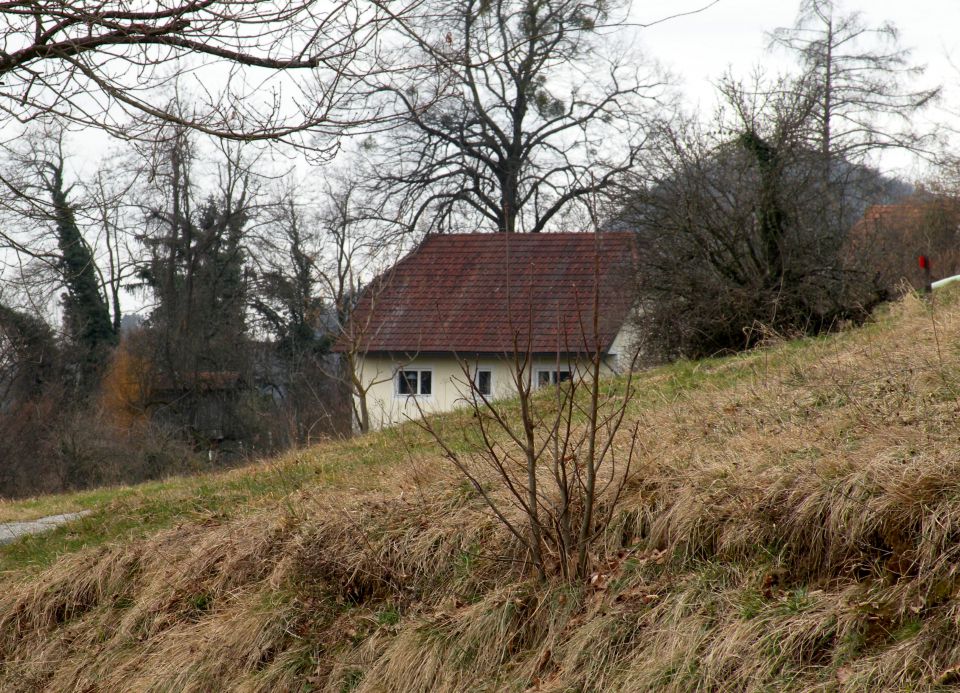 4.3.15 Krakovo Vočivje - foto povečava