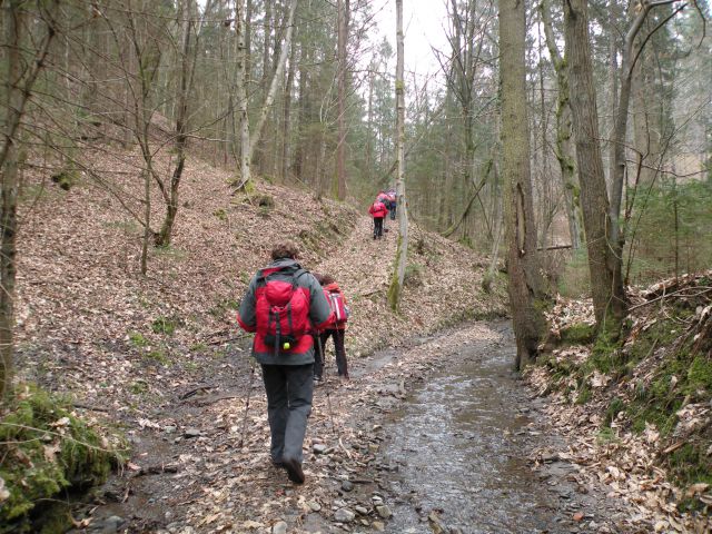 11.3.15 Breg, Radež - foto