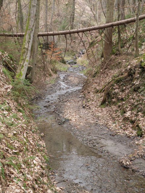 11.3.15 Breg, Radež - foto