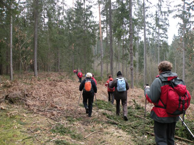 11.3.15 Breg, Radež - foto