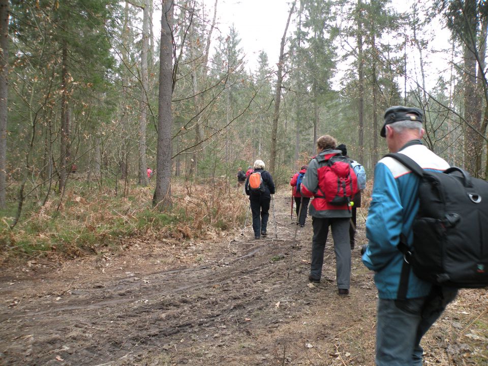 11.3.15 Breg, Radež - foto povečava