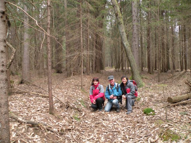 11.3.15 Breg, Radež - foto