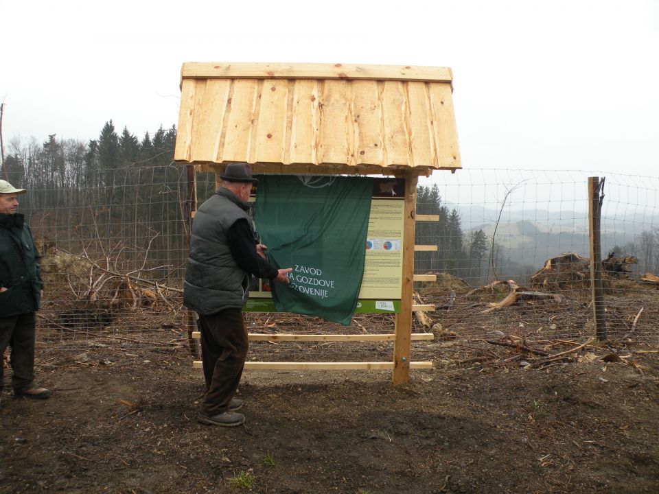 25.3.15 Magolnik - foto povečava